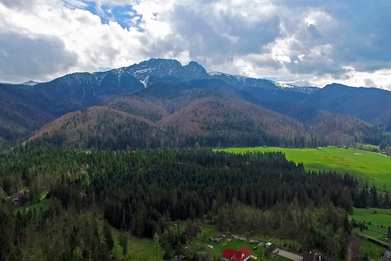 Hotel Nalecz City Center Zakopane Dış mekan fotoğraf